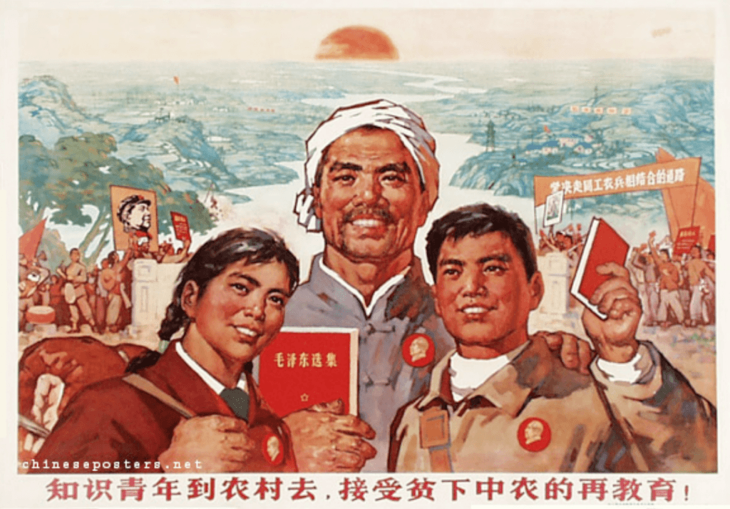 “Los jóvenes educados deben acudir al campo a ser reeducados por los pobres campesinos”, 1969.