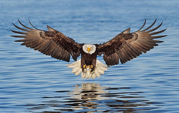 Los EAGLEs o el ascenso del sur global