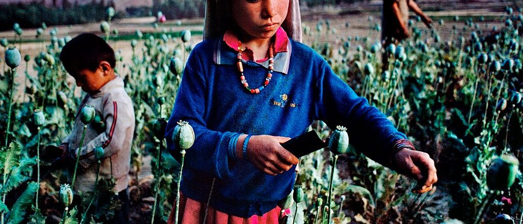 Una niña afgana recoge opio en la provincia de Badajshán (1992). Fuente: Steve McCurry (The Guardian)