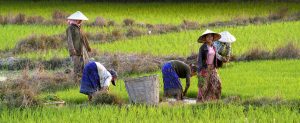 Laos, amor por China