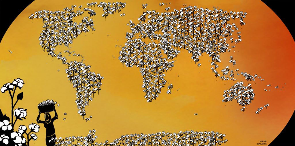 Algodón, la geopolítica del oro blanco