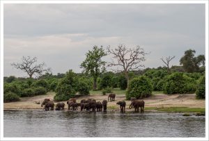 Botsuana: ¿milagro africano?