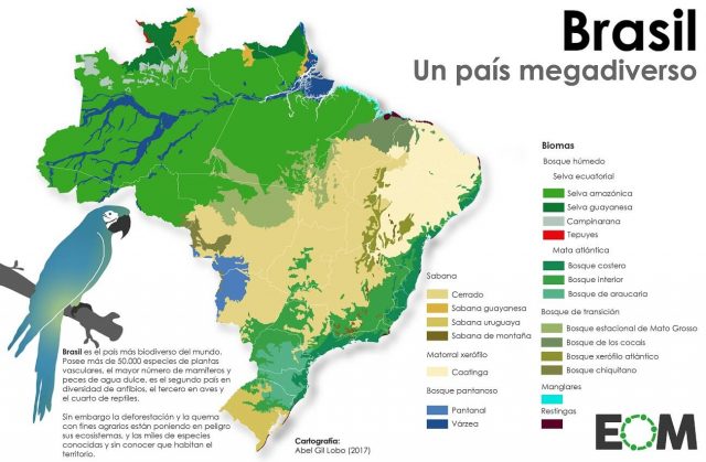 La enorme biodiversidad de Brasil