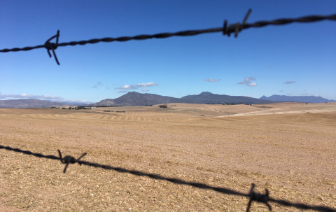 La reforma agraria en Sudáfrica y el populismo racial