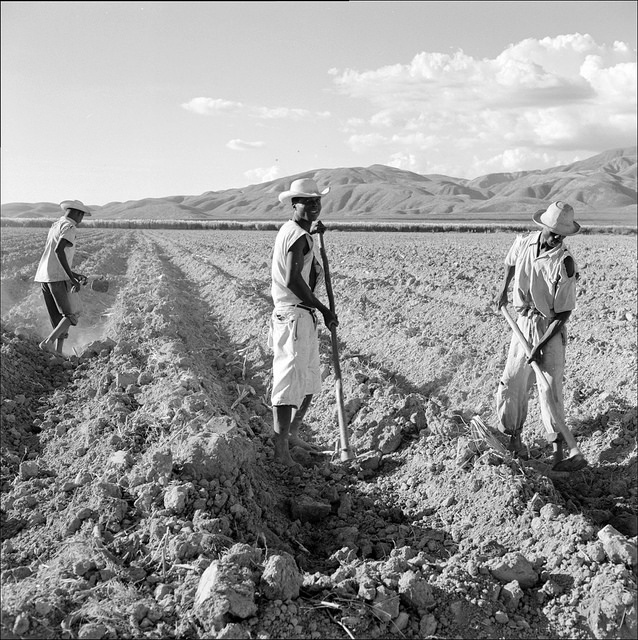 Trabajadores haitianos en Benín
