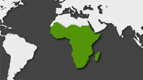 África subsahariana en 2019