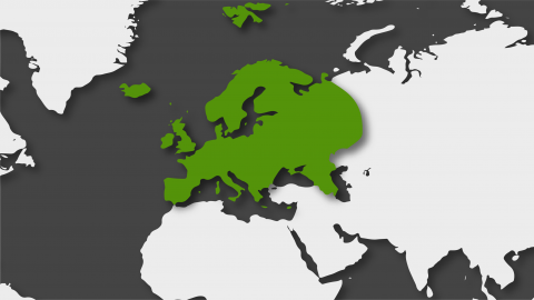 Europa en 2019