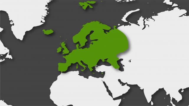 Europa en 2020