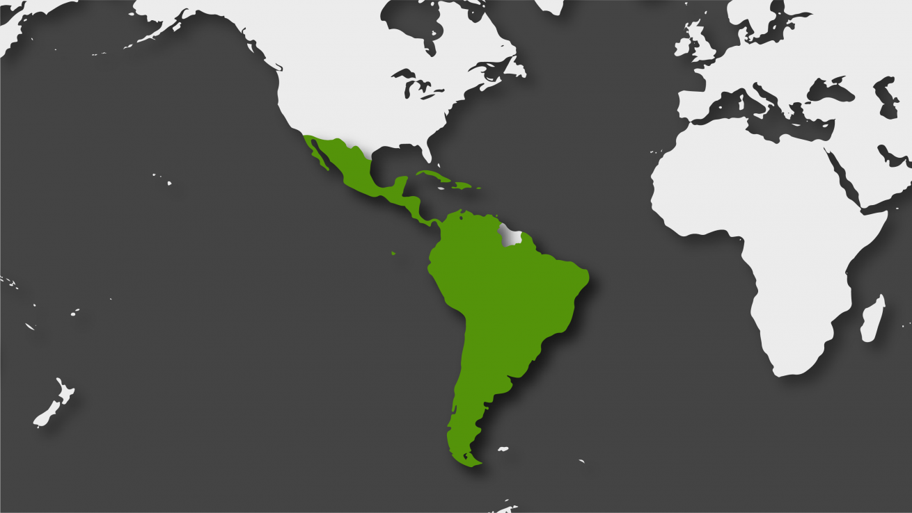 América Latina en 2021
