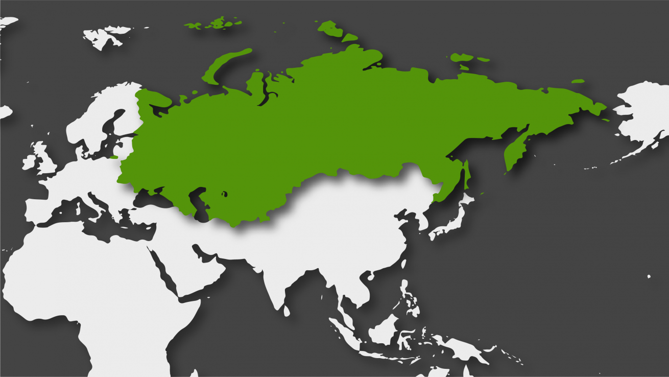 Rusia y el espacio postsoviético en 2019