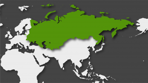 Rusia y el espacio postsoviético en 2019