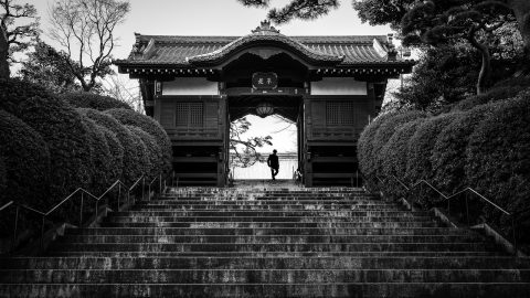 2019, el año del despertar de Japón