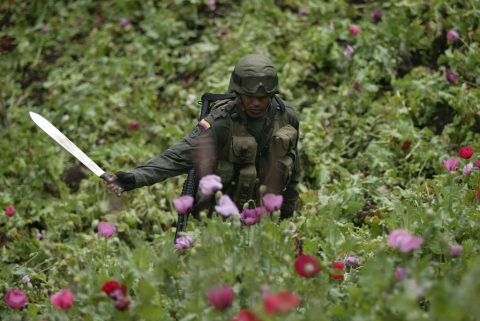 Cómo afecta al narco la crisis en Venezuela