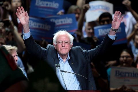 Las primarias demócratas buscan candidato a presidente de Estados Unidos
