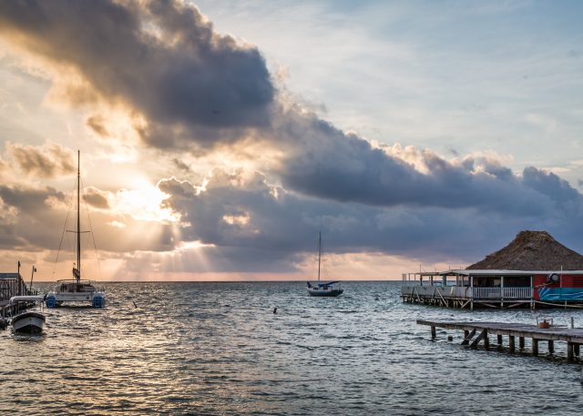 Belice, florecer en la sombra