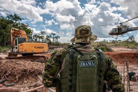 Deforestación y fuego en el Amazonas de Bolsonaro