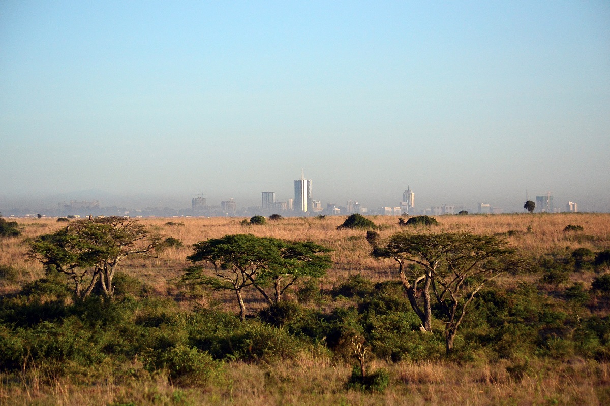 Las megaciudades del futuro tienen nombre africano