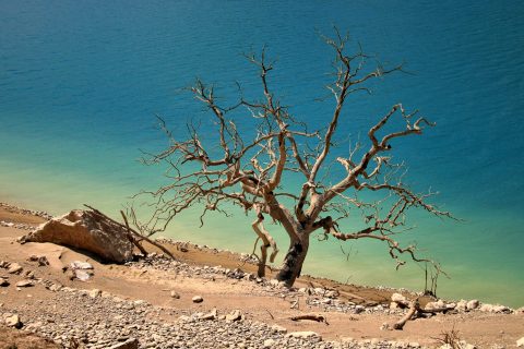 Europa ya sabe que no va a poder escapar de la crisis climática