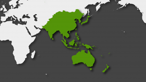 Asia-Pacífico en 2020