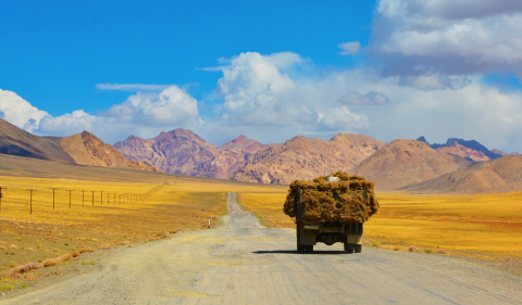 La Nueva Ruta de la Seda, ¿un obstáculo en la lucha contra la crisis climática?