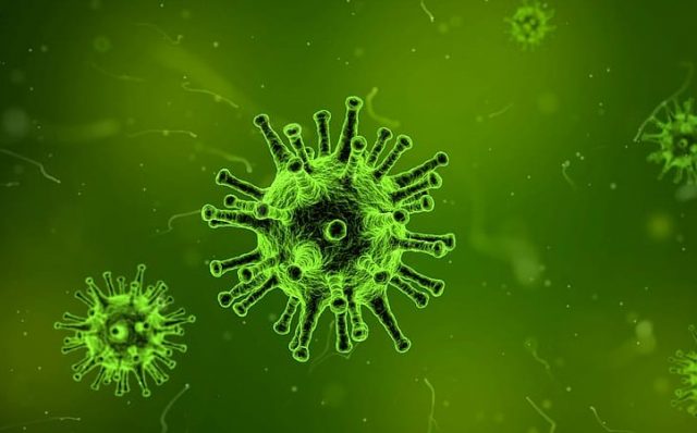 ¿Cómo se gestiona una alerta sanitaria internacional?