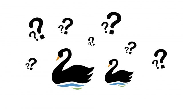 ¿Qué es un cisne negro?