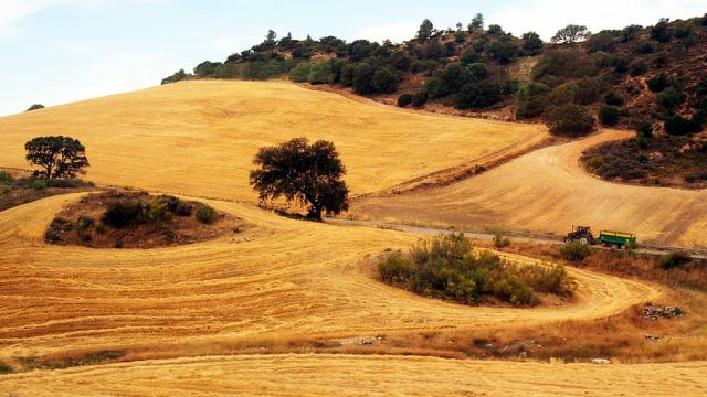 ¿Qué es la PAC o Política Agraria Común de la UE?