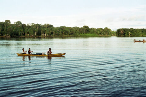 El Amazonas, un aliado para la expansión del coronavirus
