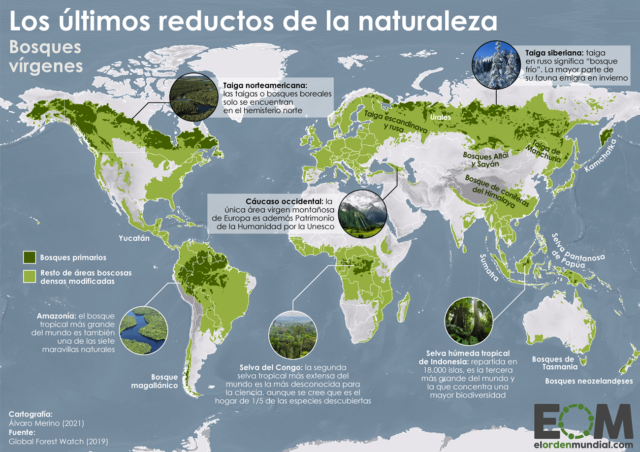 El mapa de los bosques vírgenes del mundo