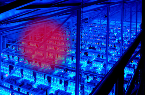 La lucha geopolítica por controlar los servidores que sostienen internet