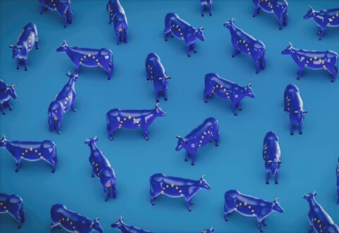 Aunque el Reino Unido ya no está, en la UE sigue habiendo países que van por libre