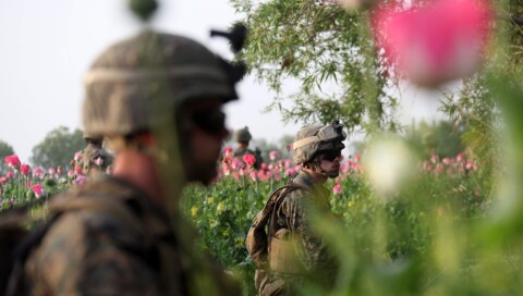 El opio, la otra guerra que Estados Unidos ha perdido en Afganistán