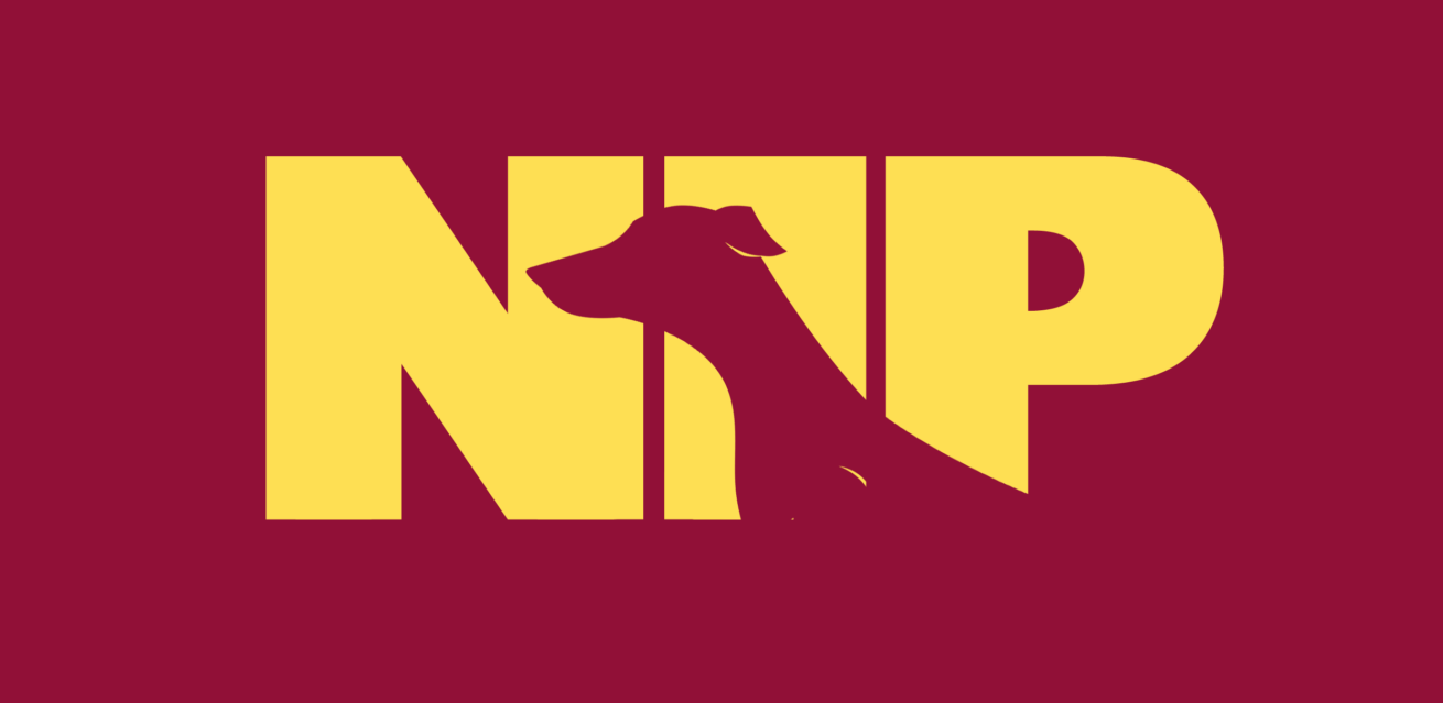 NIP Partido Independentista del Norte