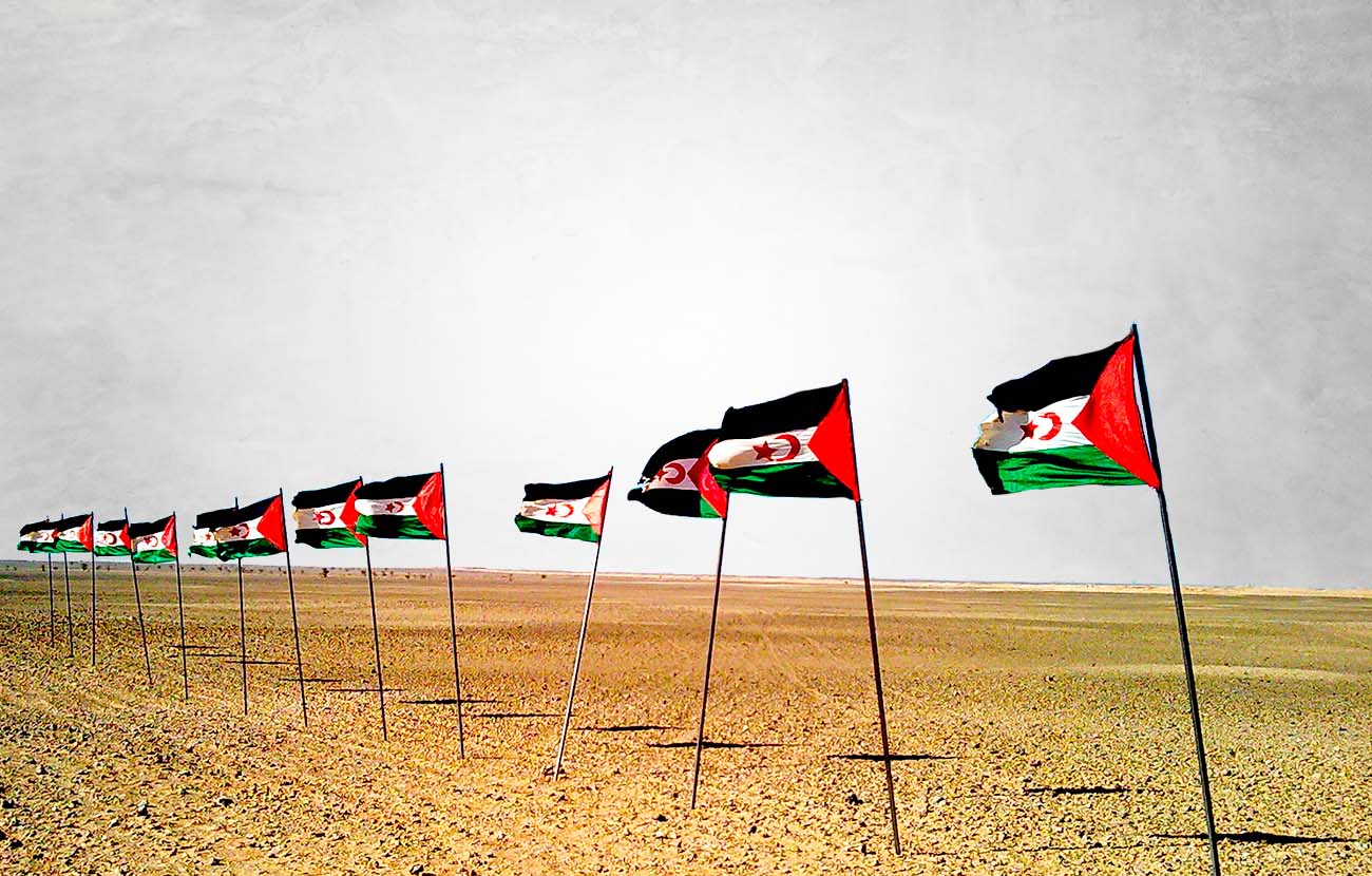 Historia del Frente Polisario, el movimiento de liberación del Sáhara Occidental