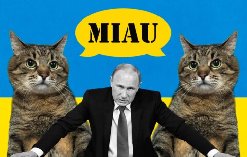 Gatitos instagramers contra Putin: cómo los gatos se han vuelto símbolos de la resistencia ucraniana