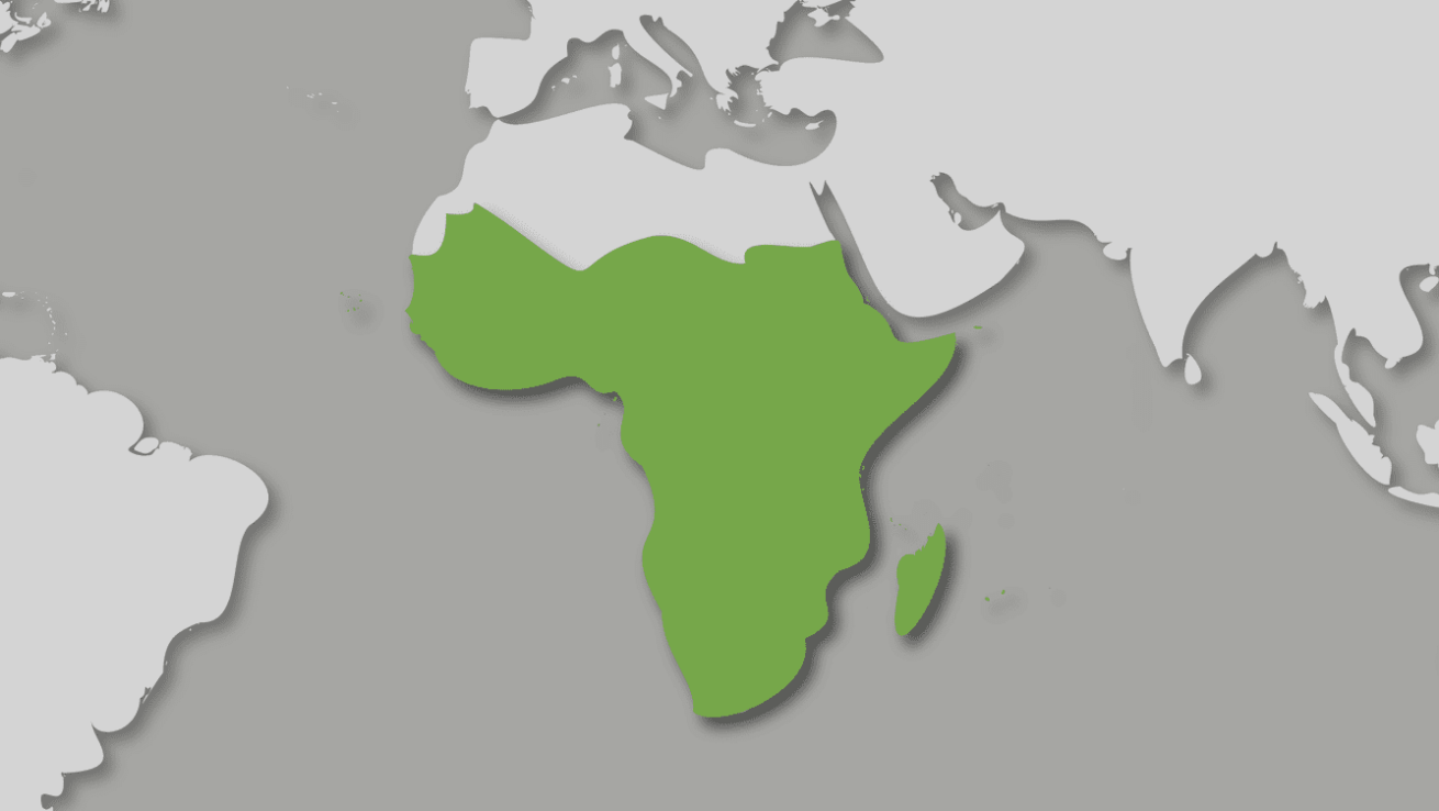 África subsahariana en 2023
