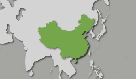Las cuatro grandes batallas de China en 2023