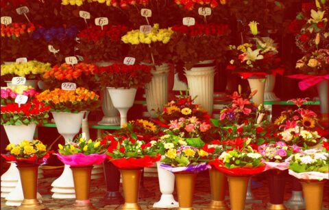 Flores sí pero no así: la industria se está volviendo insostenible