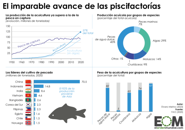 Peces de granja: el auge de las piscifactorías en el mundo