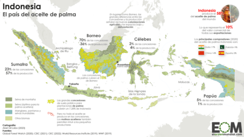 El mapa del aceite de palma en Indonesia, el gran productor mundial