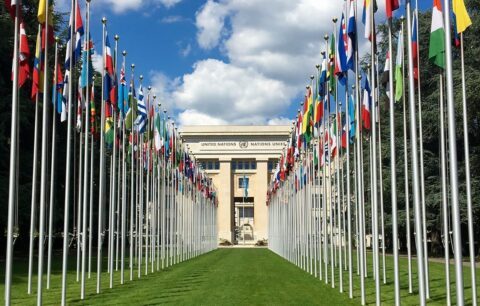 Naciones Unidas, reflejo de los Estados nación