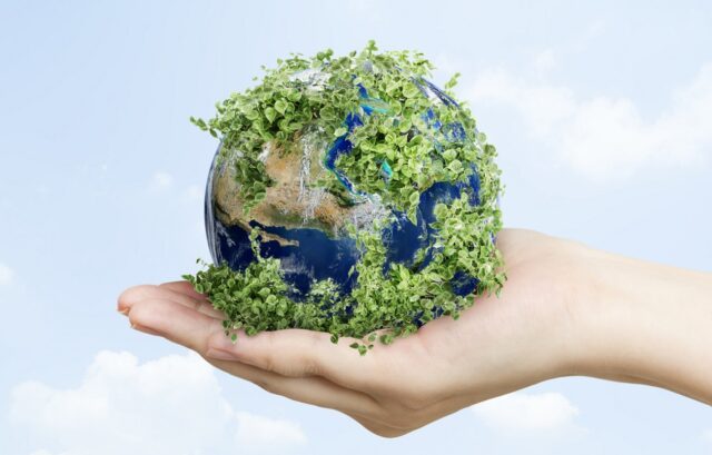 ¿Qué es el ecologismo?