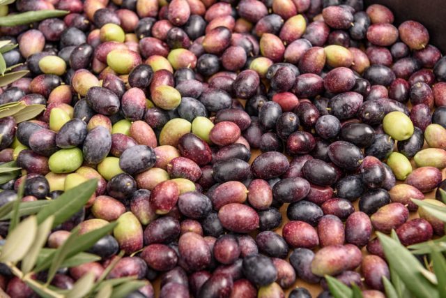 Las guerras del aceite de oliva