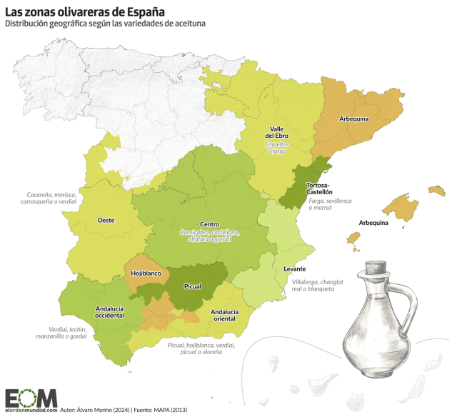 Picual, hojiblanca o arbequina: el mapa de las zonas de cultivo del olivo en España