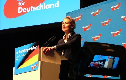 Alemania se obsesionó con frenar a la ultraderecha. Sólo logró fortalecerla