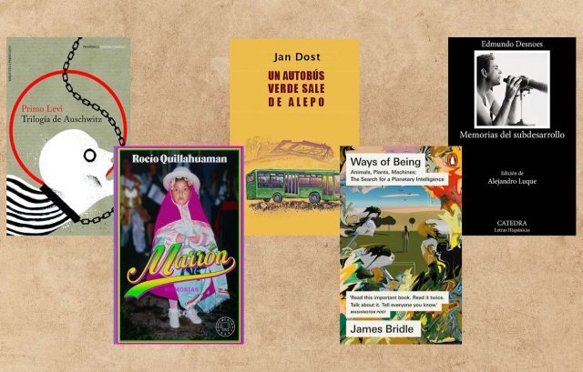 Día del Libro 2025: trece recomendaciones para leer este año