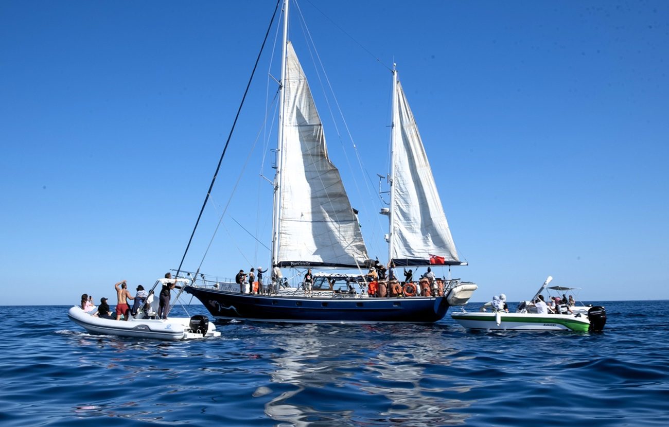 ¿Qué es la Flotilla de la Libertad, otra vez interceptada por Israel?