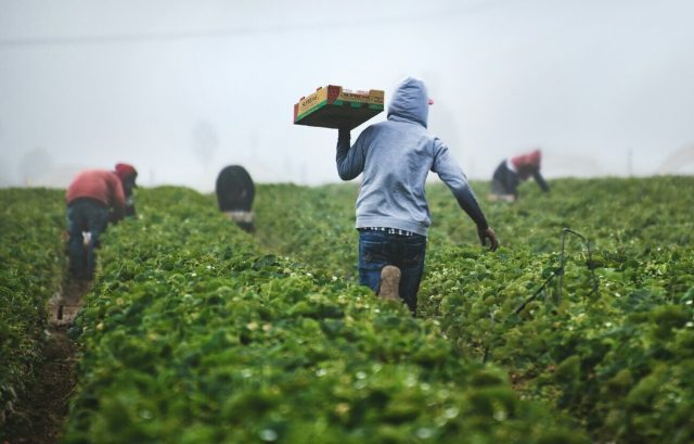 Por qué España necesita más inmigrantes y no menos